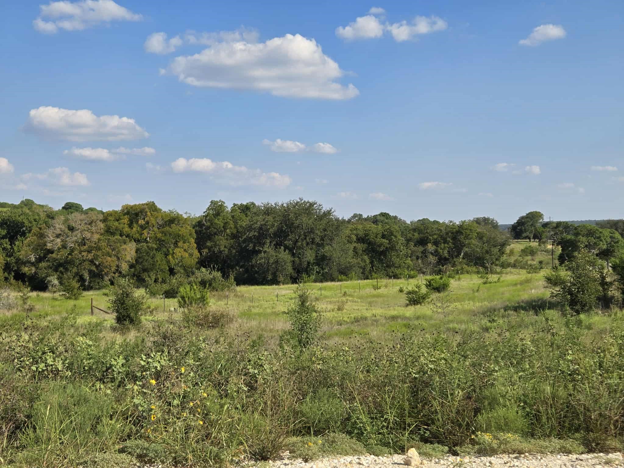 Tbd Big Bend Drive Oglesby TX 76561