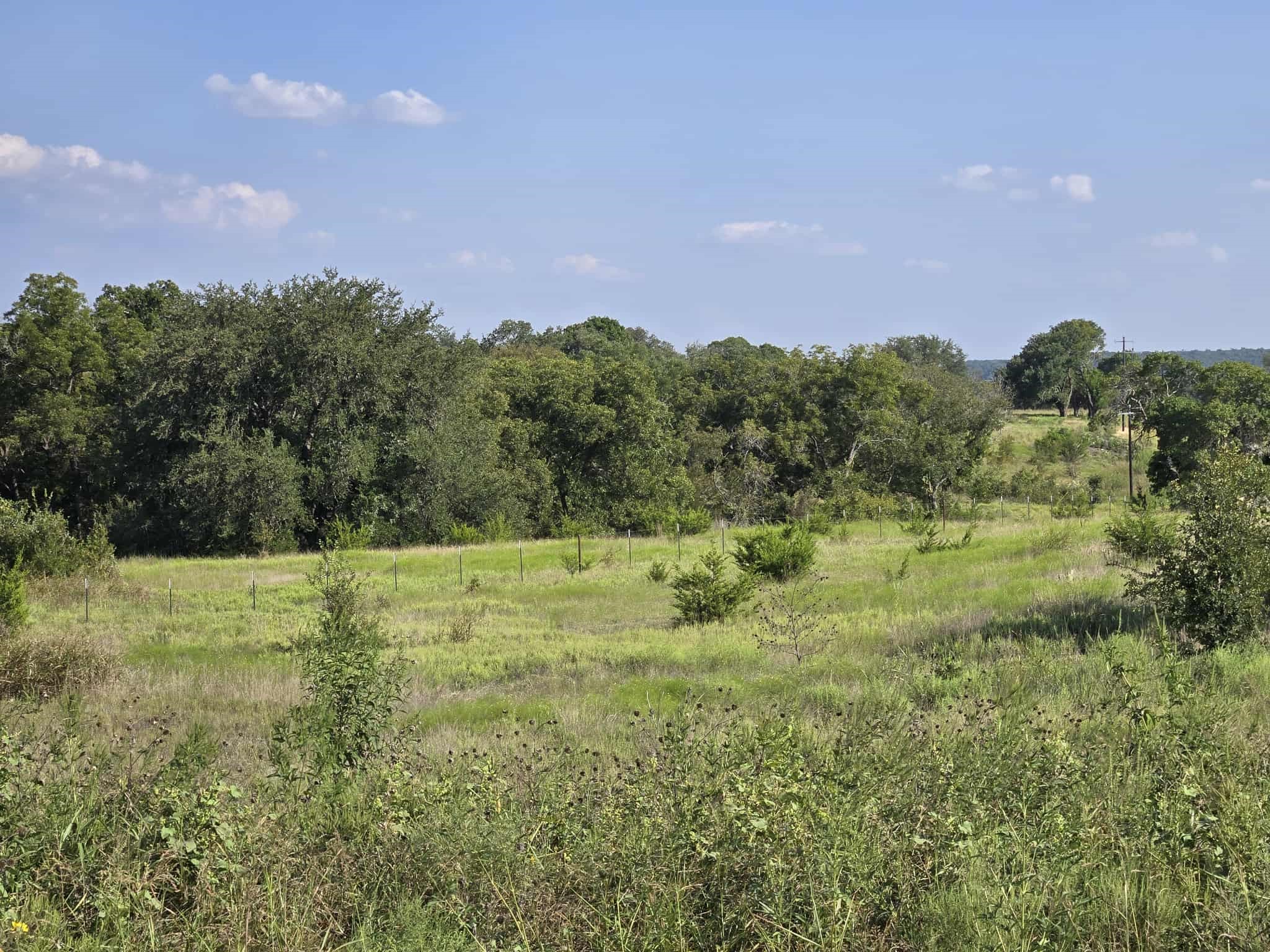 Tbd Big Bend Drive Oglesby TX 76561