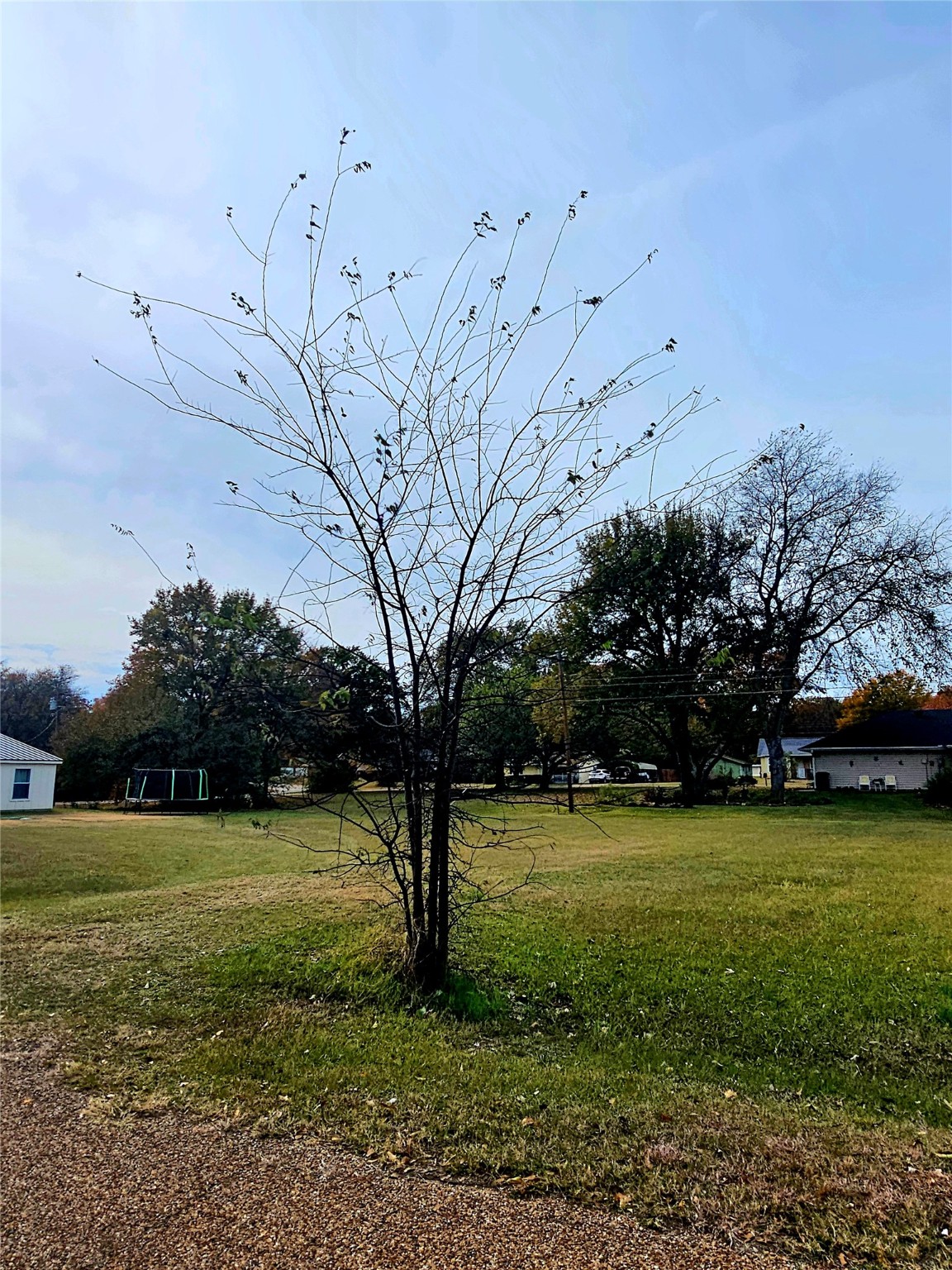 Tbd Oak Ridge Road Mabank TX 75156