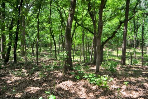 322 Grigg Road Sherman TX 75090