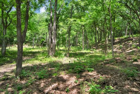 322 Grigg Road Sherman TX 75090