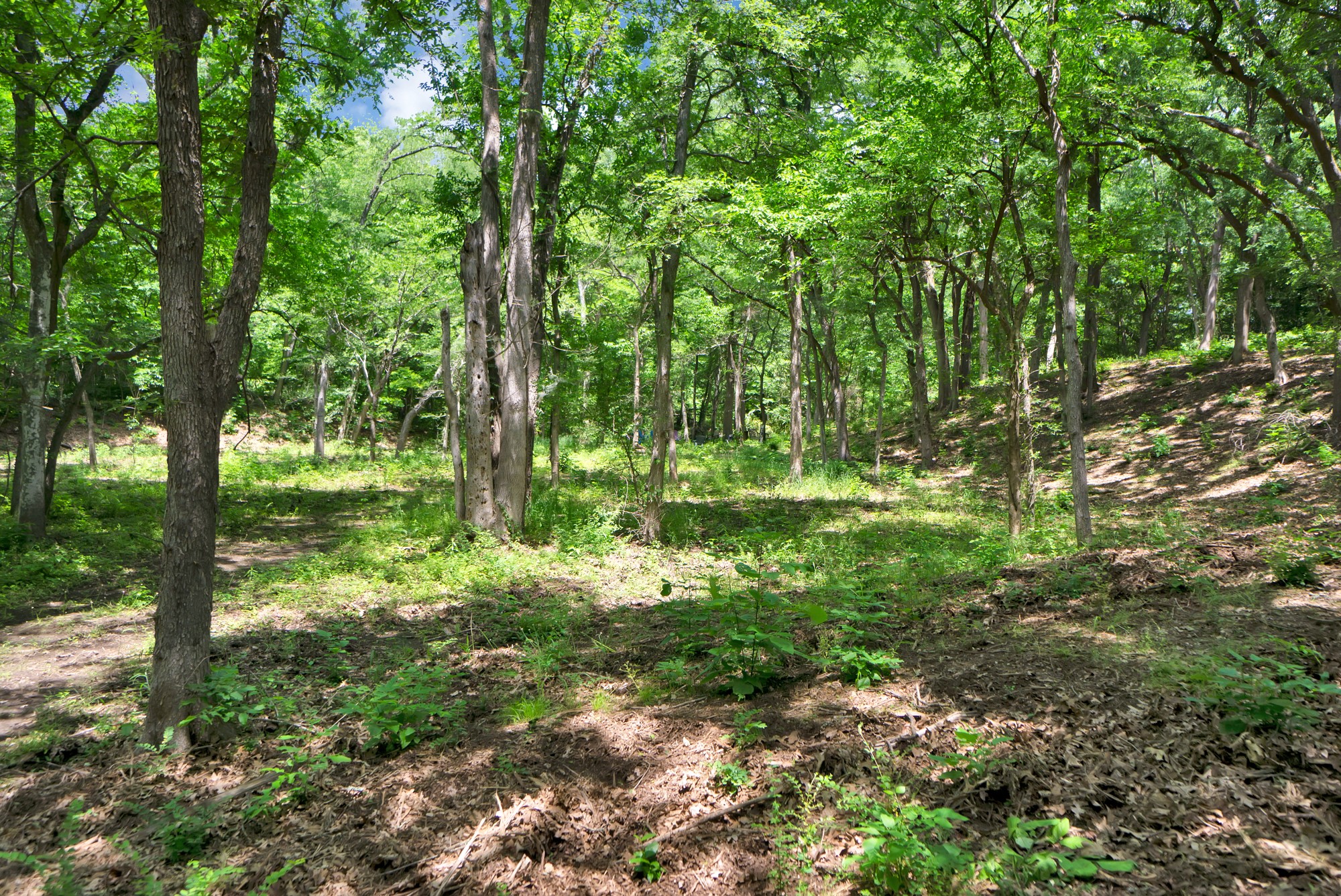 322 Grigg Road Sherman TX 75090