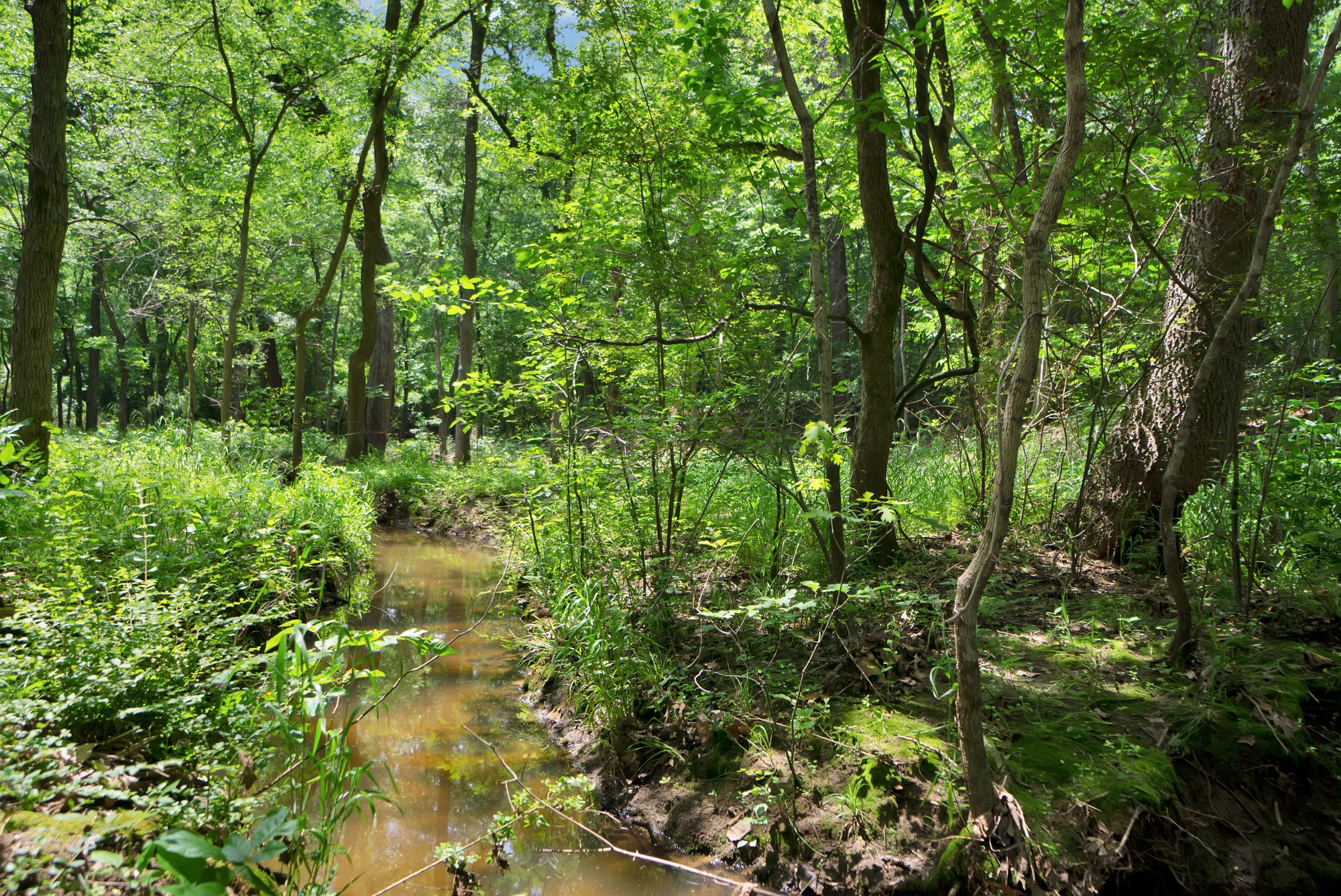 322 Grigg Road Sherman TX 75090