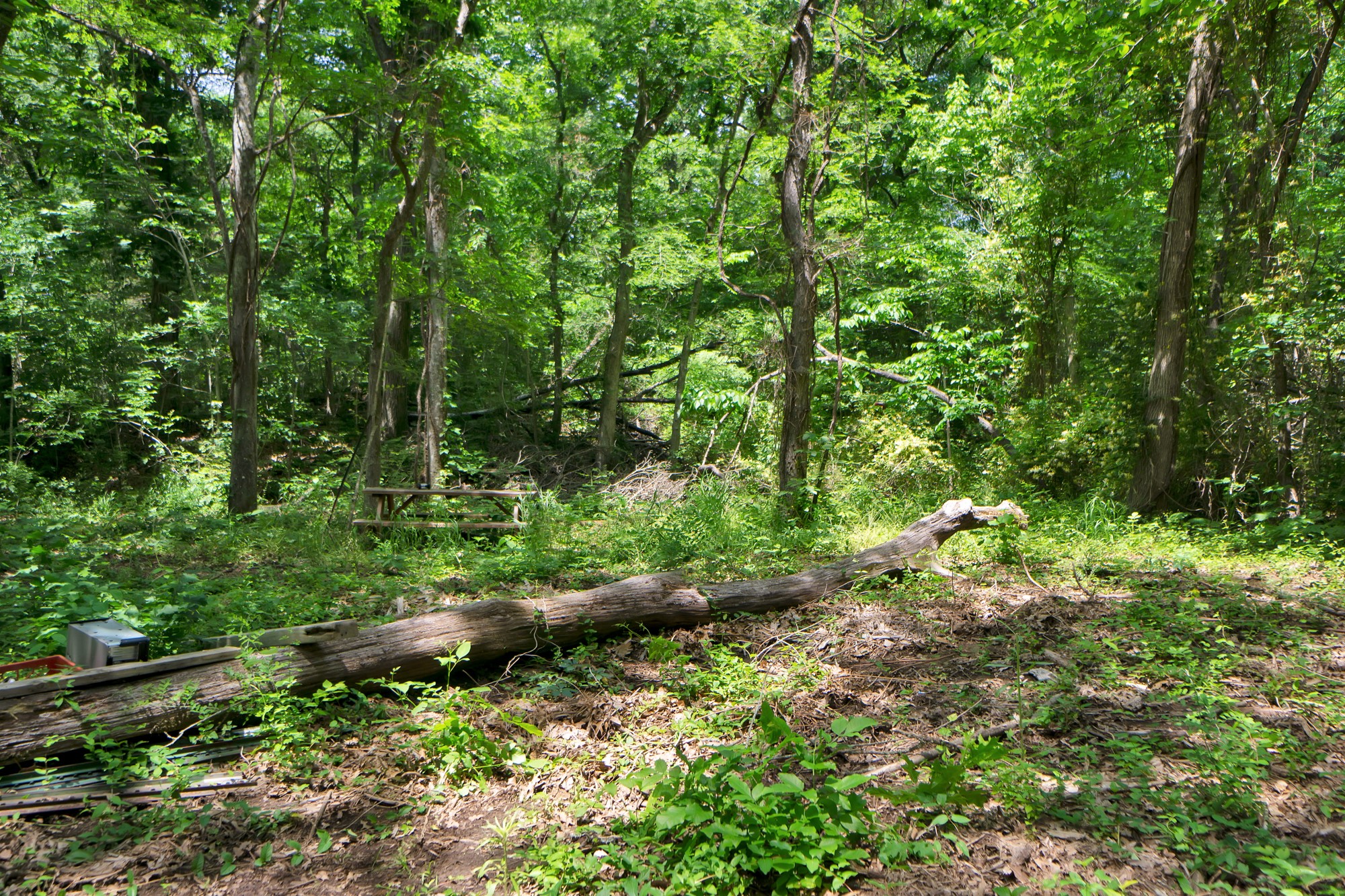 322 Grigg Road Sherman TX 75090