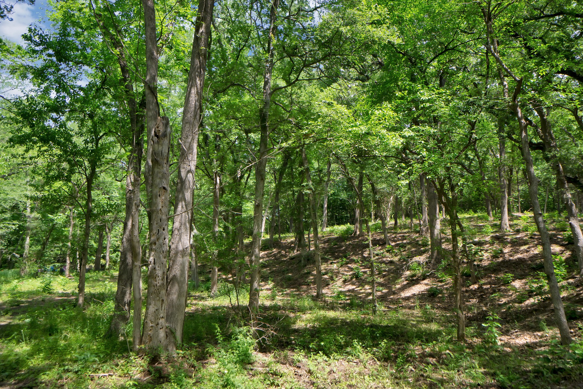 322 Grigg Road Sherman TX 75090