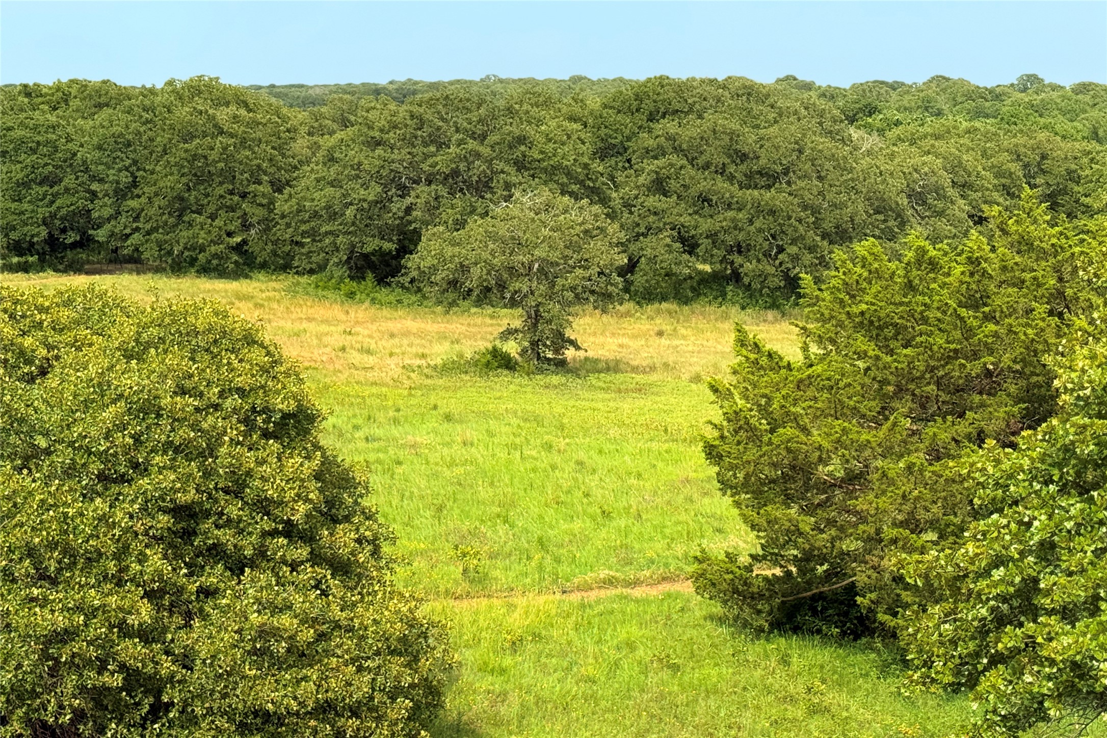 9213 Scenic Drive Pilot Point TX 76258