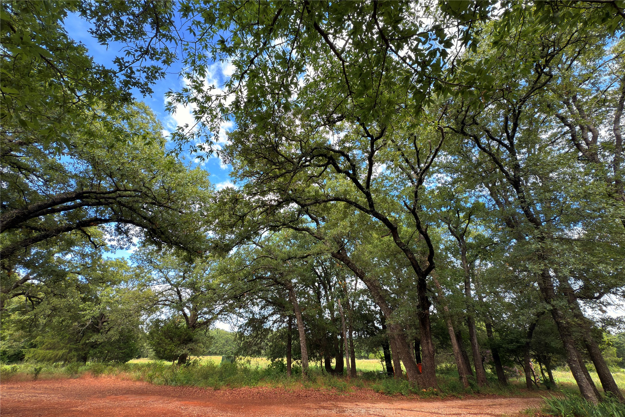 9213 Scenic Drive Pilot Point TX 76258