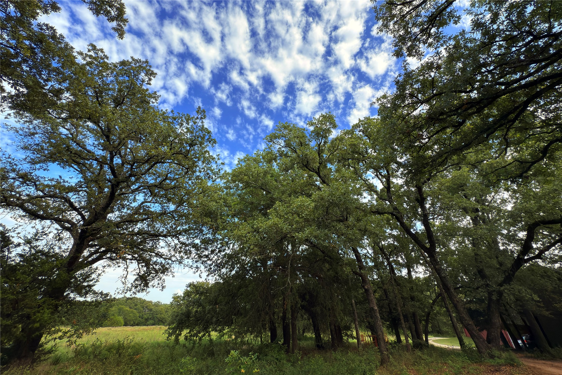9213 Scenic Drive Pilot Point TX 76258