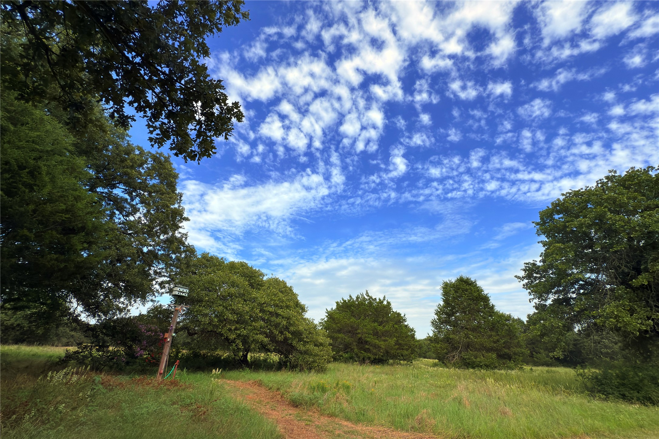 9213 Scenic Drive Pilot Point TX 76258