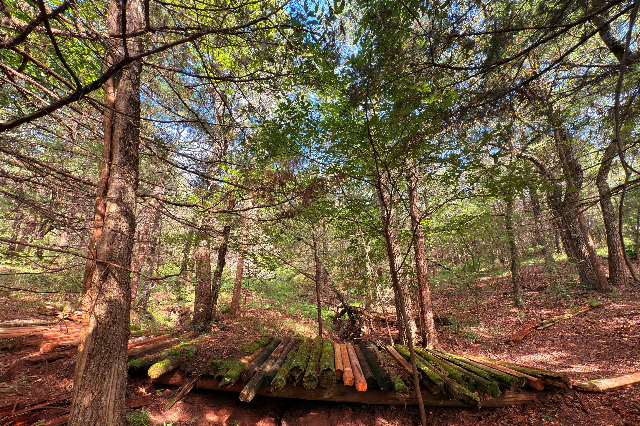9213 Scenic Drive Pilot Point TX 76258