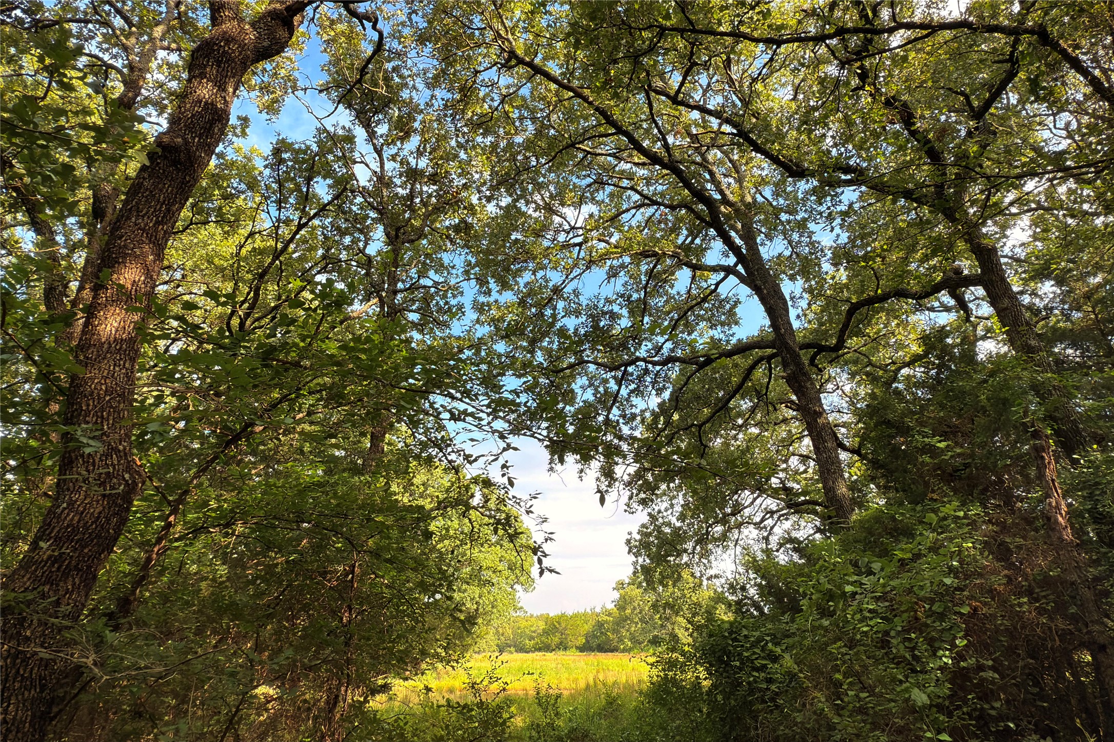 9213 Scenic Drive Pilot Point TX 76258