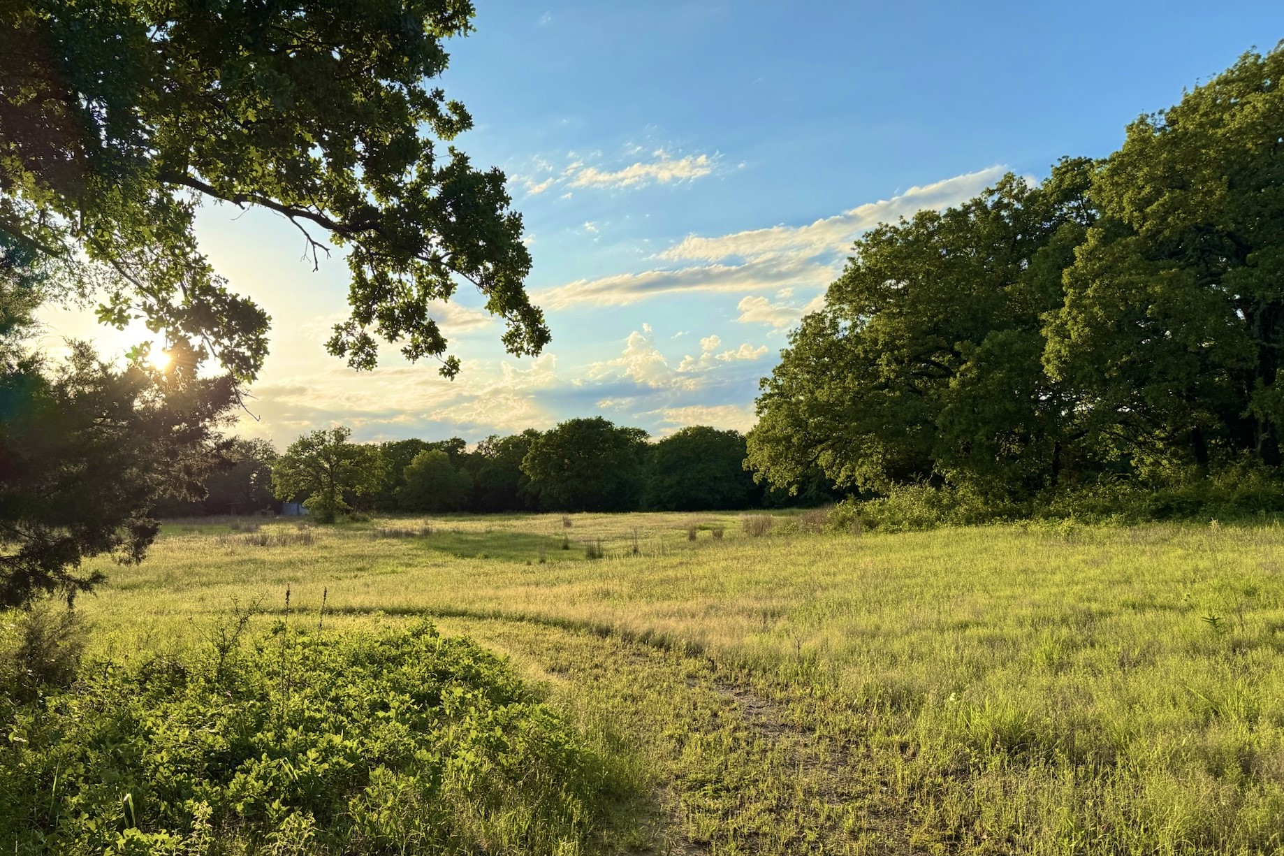 9213 Scenic Drive Pilot Point TX 76258
