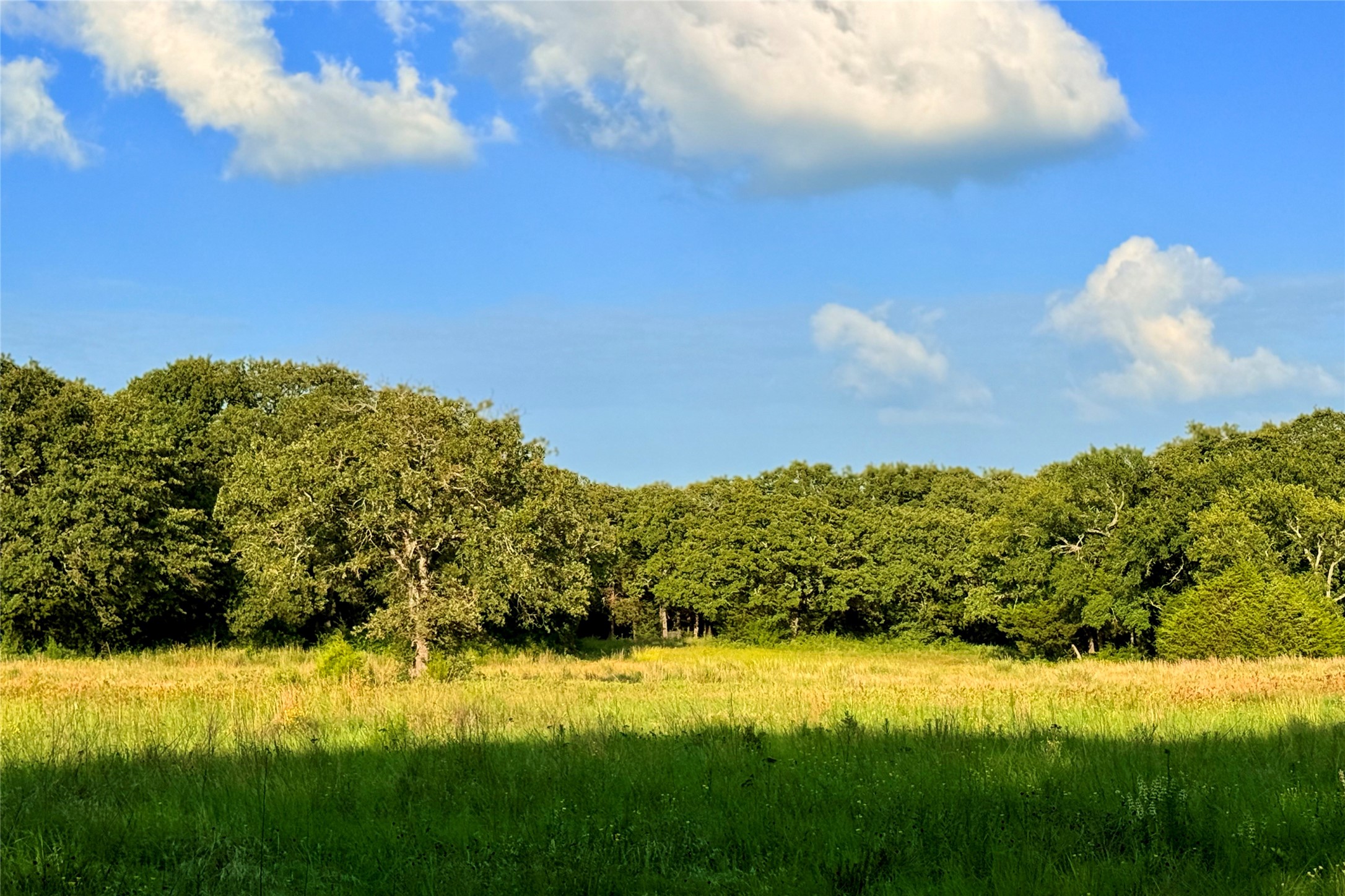 9213 Scenic Drive Pilot Point TX 76258