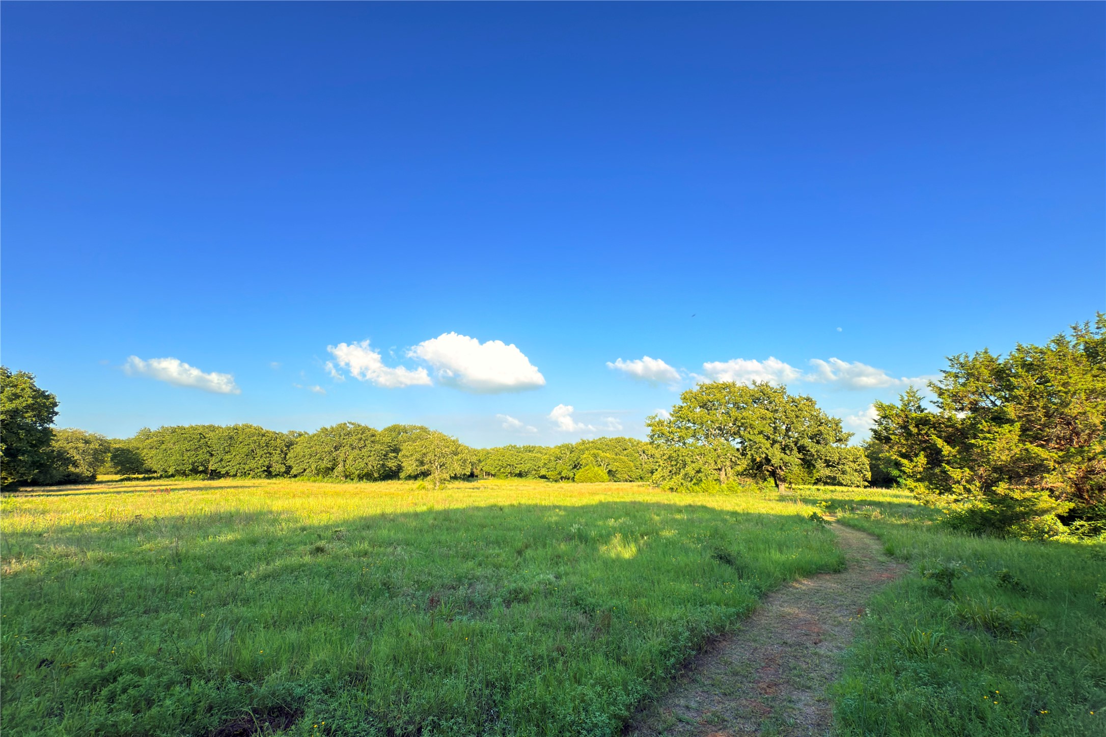 9213 Scenic Drive Pilot Point TX 76258