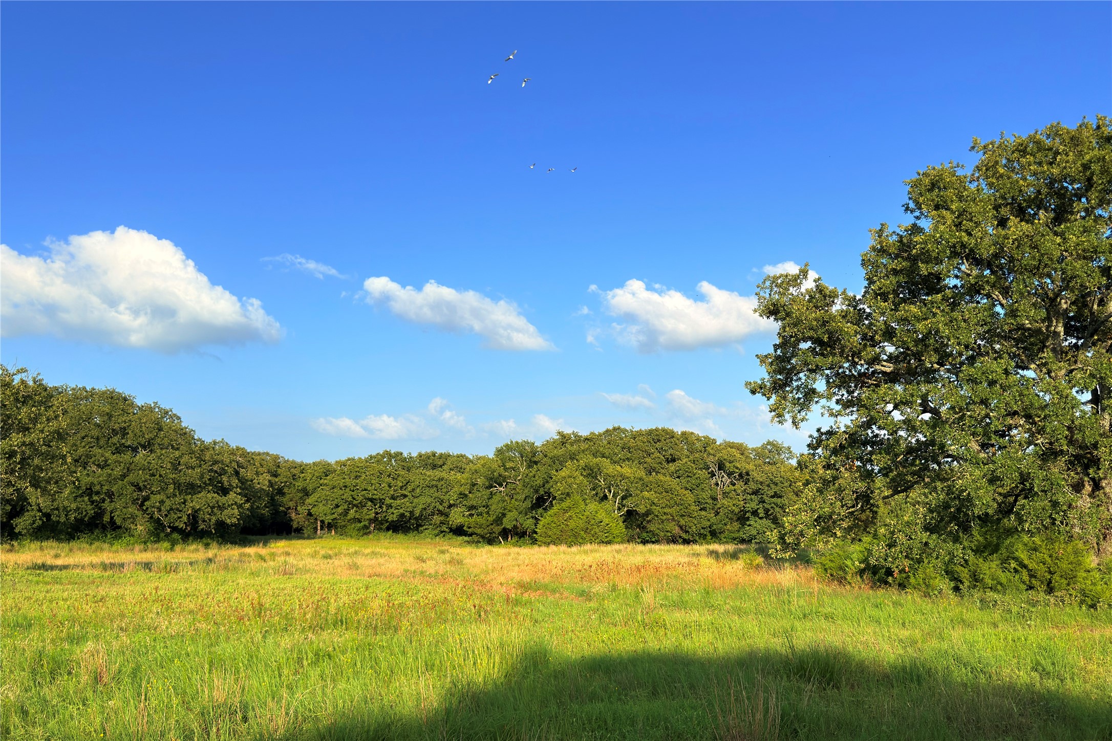 9213 Scenic Drive Pilot Point TX 76258