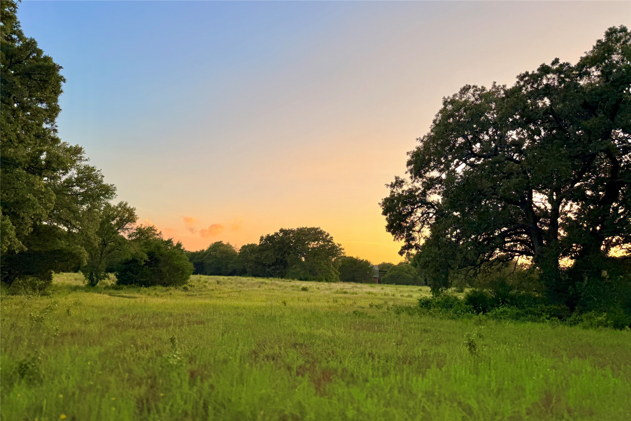 9213 Scenic Drive Pilot Point TX 76258