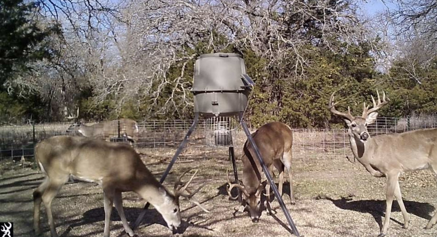 9213 Scenic Drive Pilot Point TX 76258
