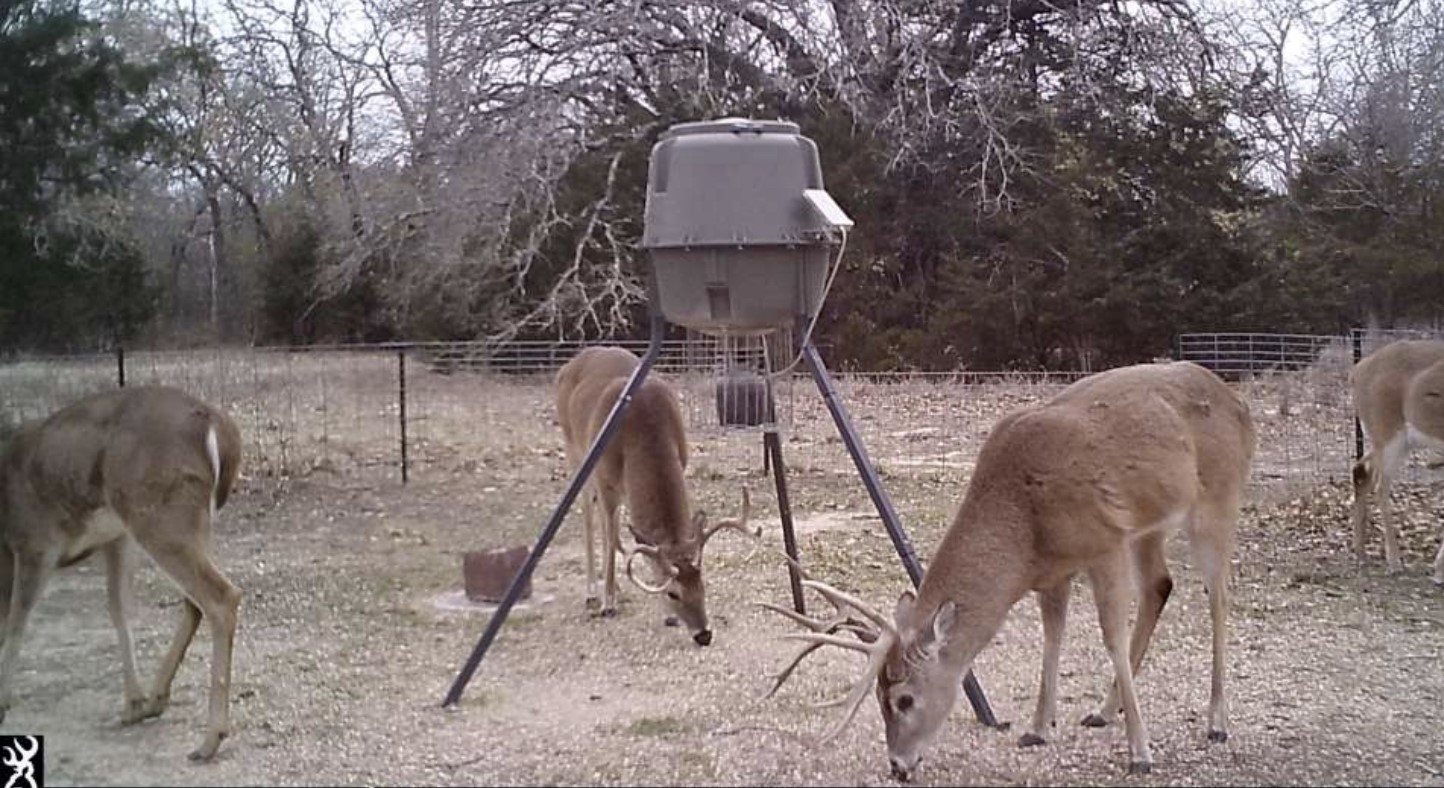 9213 Scenic Drive Pilot Point TX 76258