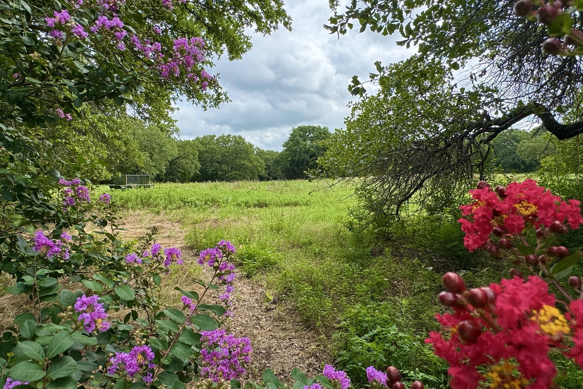 9213 Scenic Drive Pilot Point TX 76258