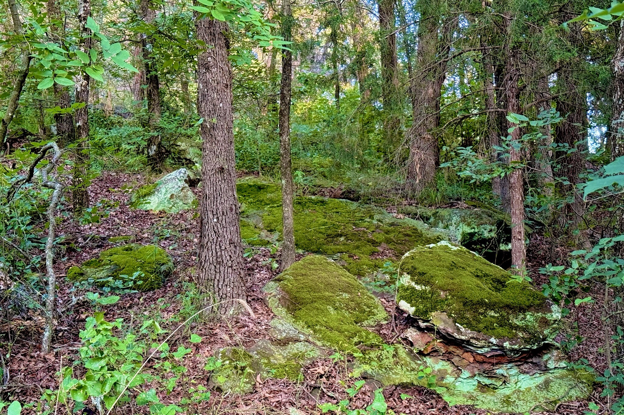 9213 Scenic Drive Pilot Point TX 76258