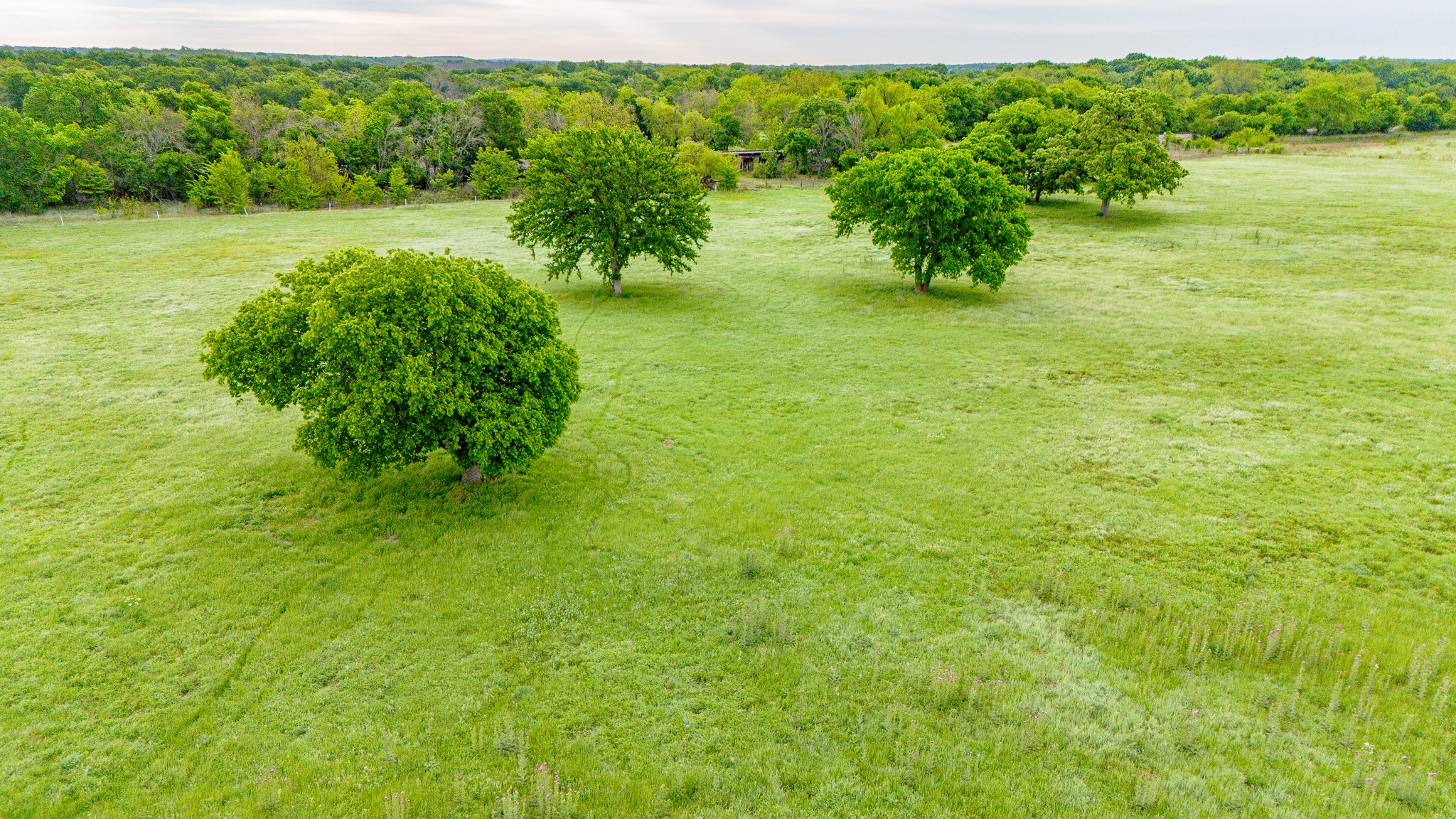 3061 Turkey Creek Road Sunset TX 76270