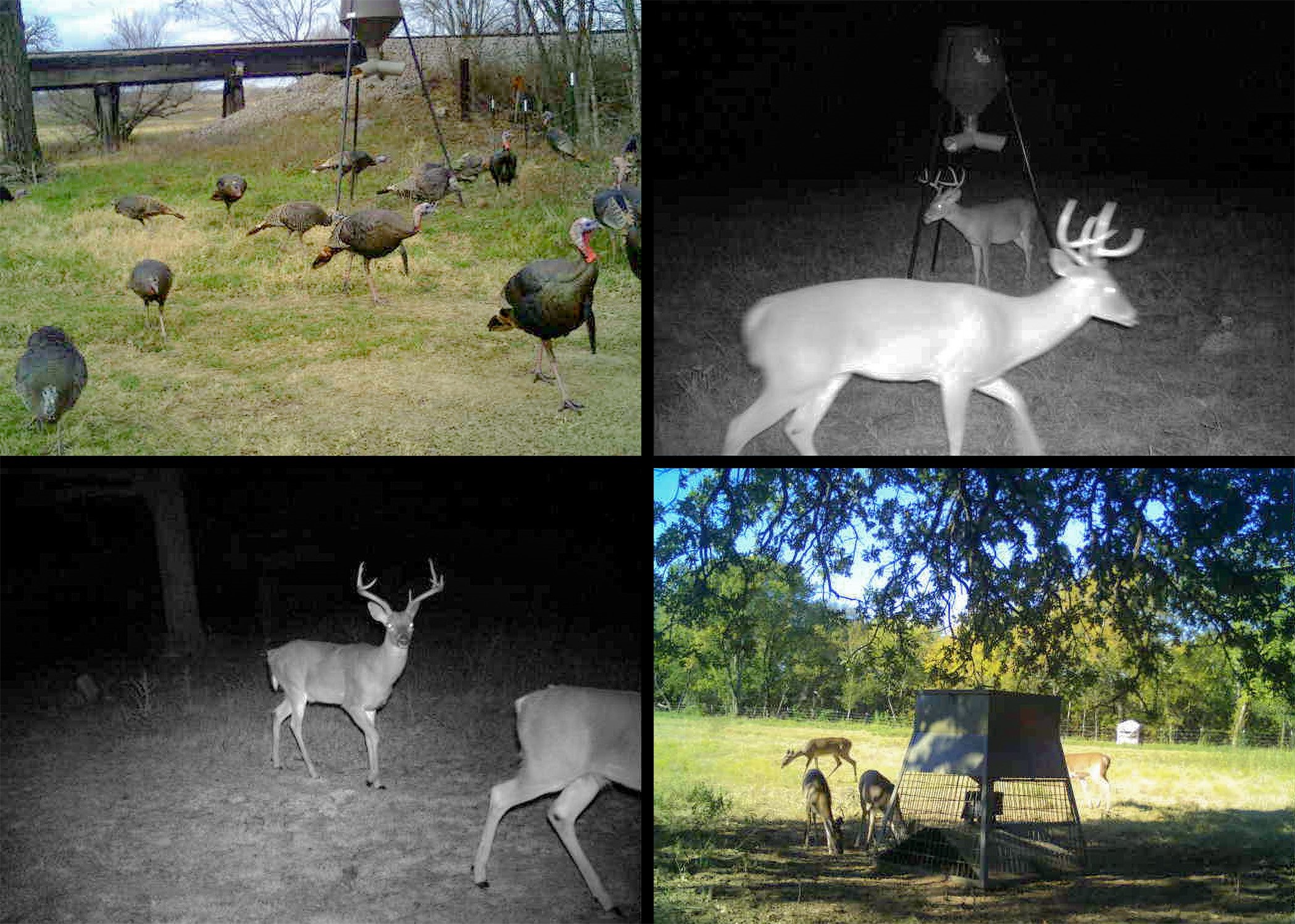 3061 Turkey Creek Road Sunset TX 76270