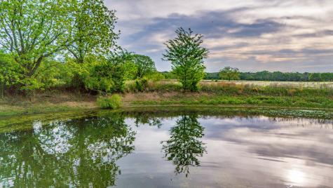 3061 Turkey Creek Road Sunset TX 76270
