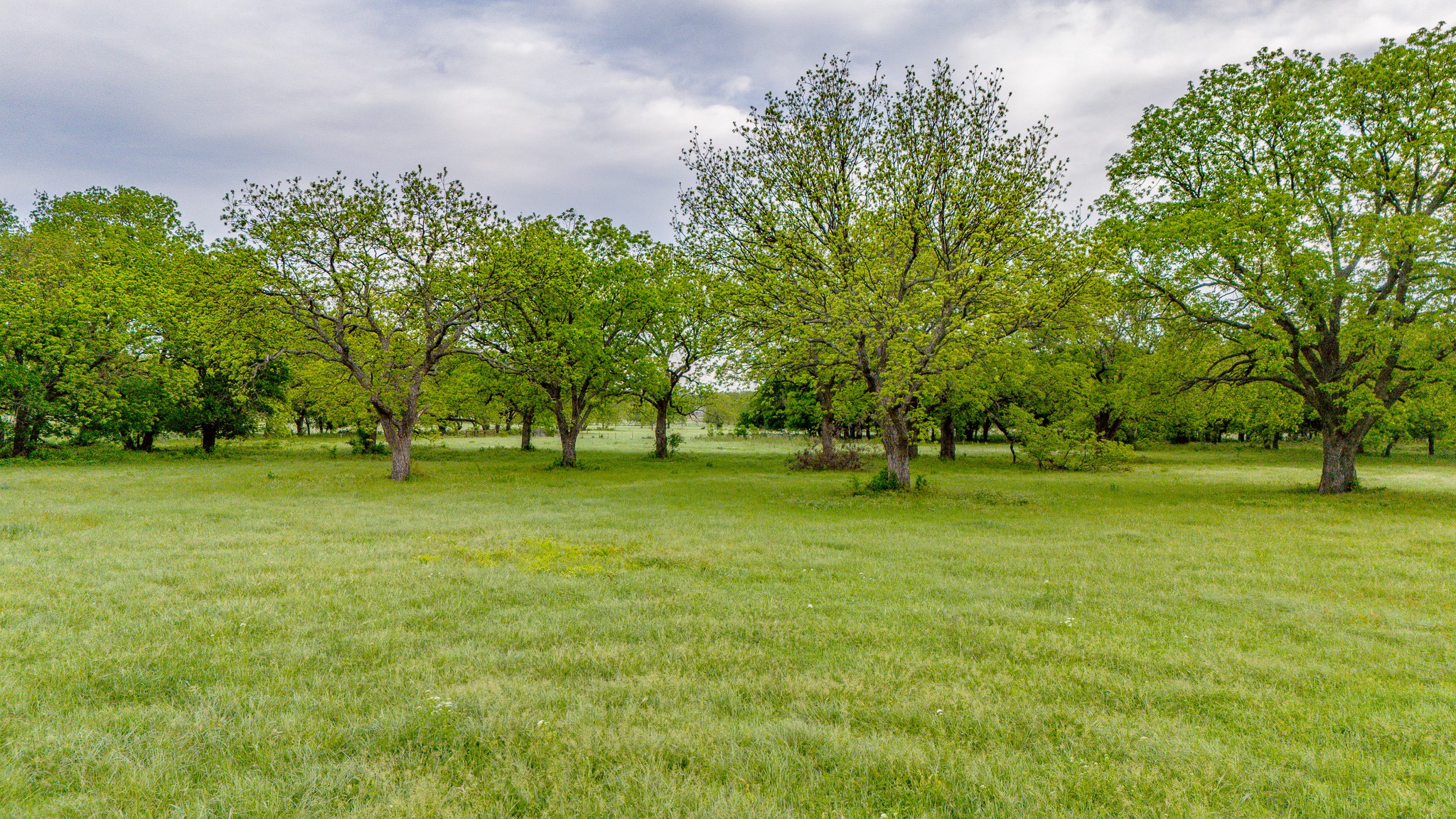 3061 Turkey Creek Road Sunset TX 76270
