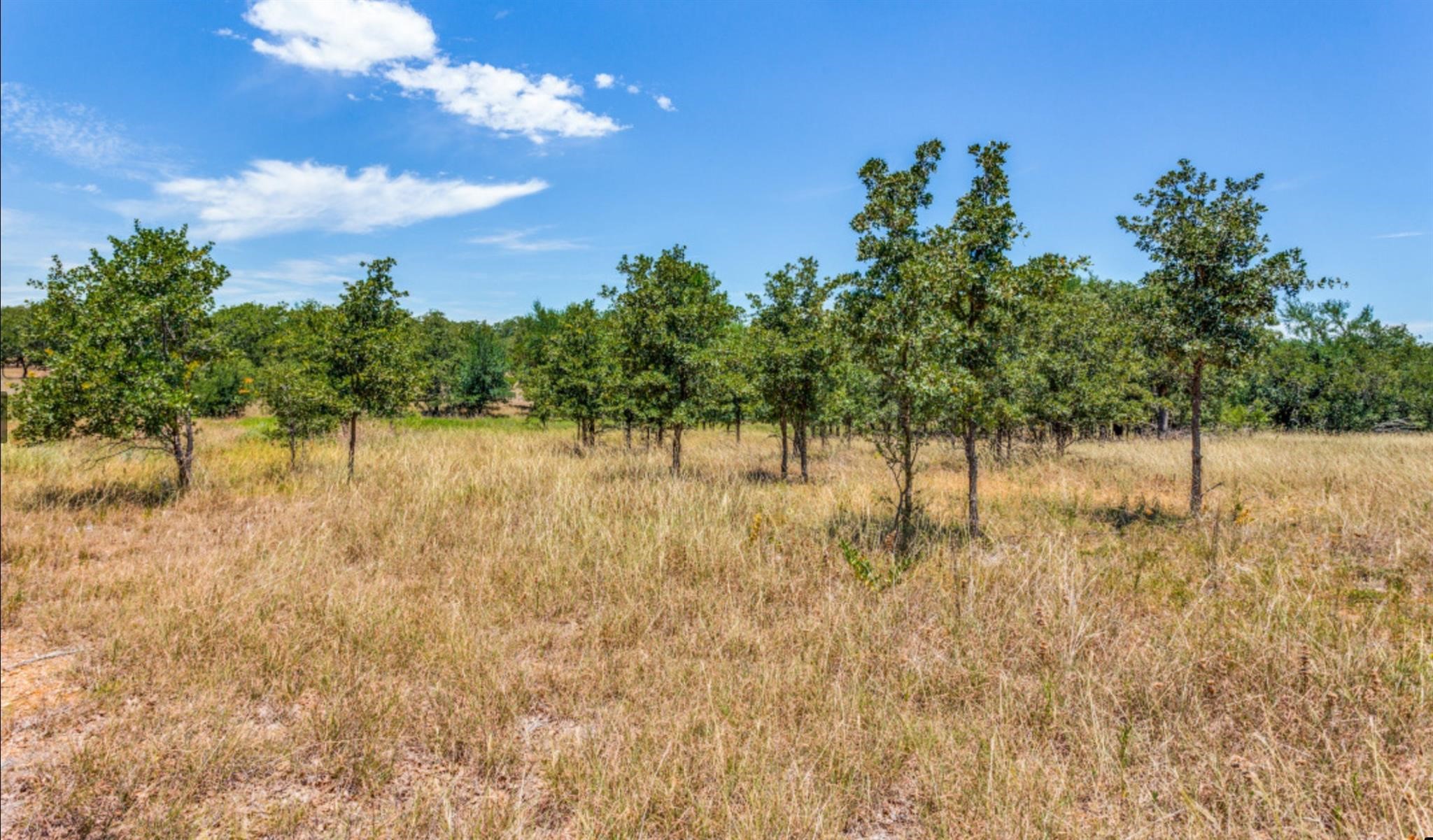 271 Creek Meadow Court Lipan TX 76462