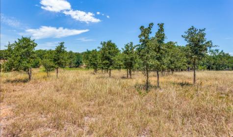 271 Creek Meadow Court Lipan TX 76462
