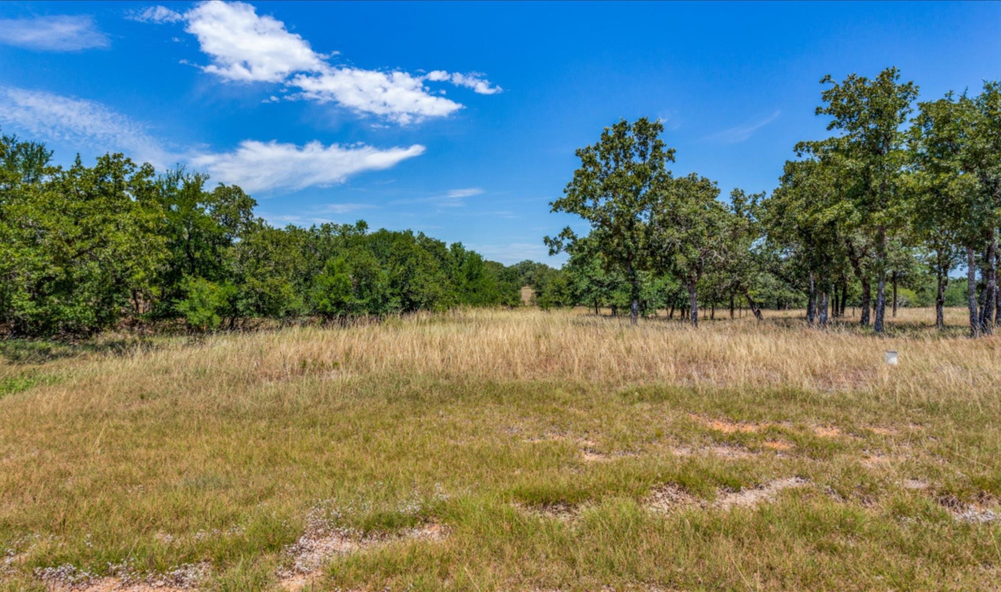 271 Creek Meadow Court Lipan TX 76462