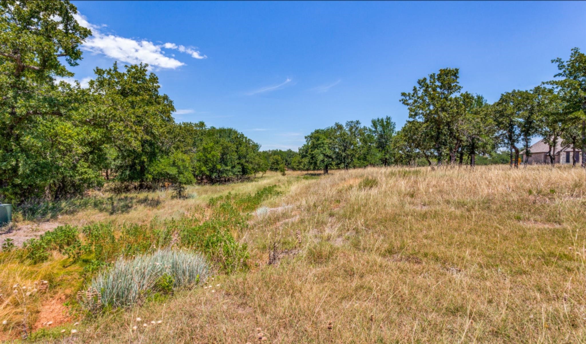 271 Creek Meadow Court Lipan TX 76462