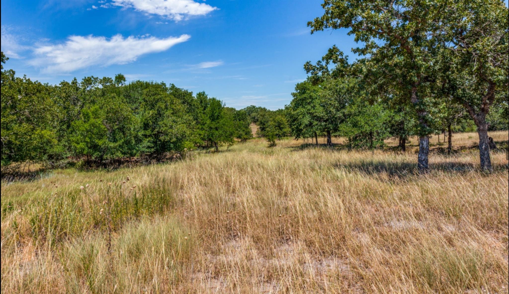 271 Creek Meadow Court Lipan TX 76462