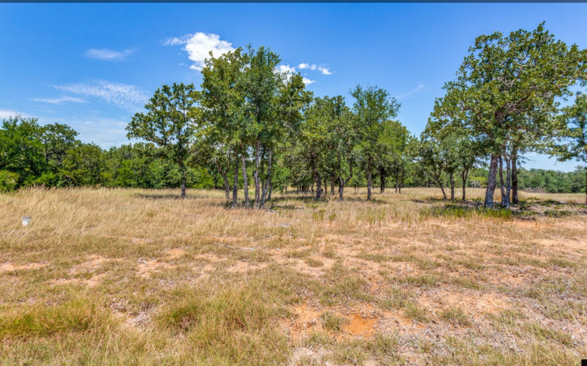 271 Creek Meadow Court Lipan TX 76462