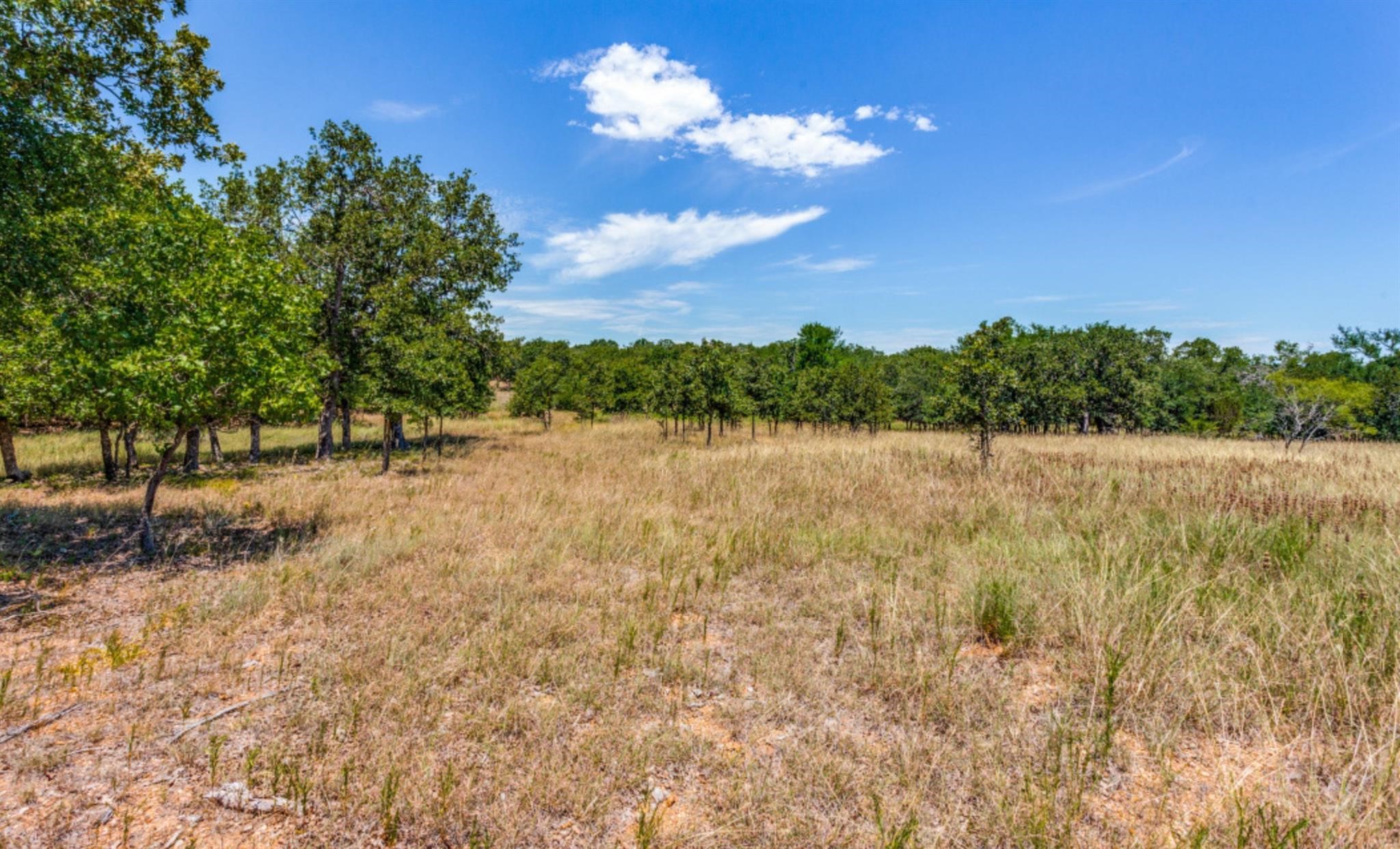 271 Creek Meadow Court Lipan TX 76462