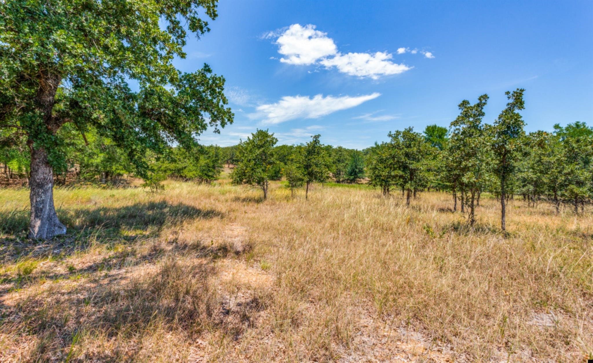 271 Creek Meadow Court Lipan TX 76462