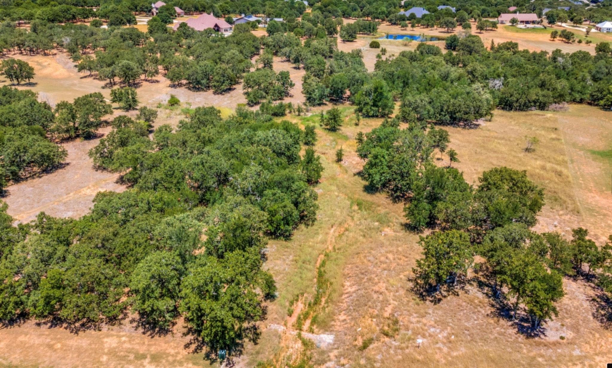 271 Creek Meadow Court Lipan TX 76462