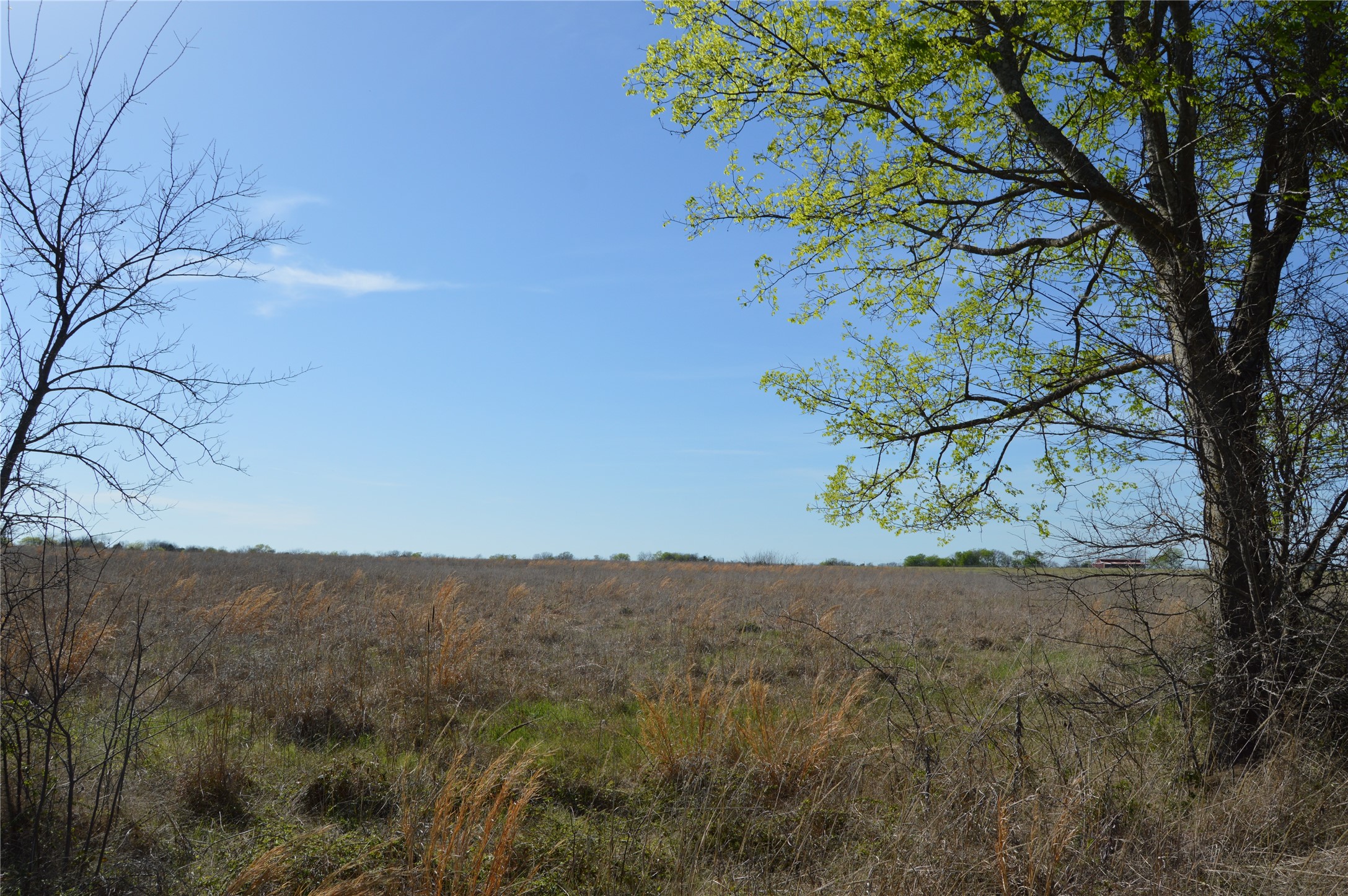 Tbd Lot 3 Rs County Road 1520 Point TX 75472