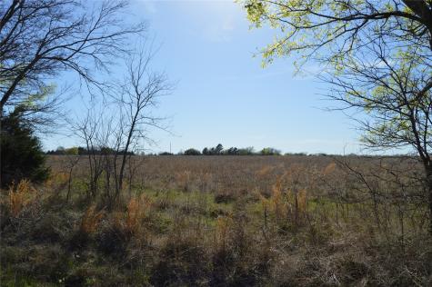 Tbd Lot 3 Rs County Road 1520 Point TX 75472