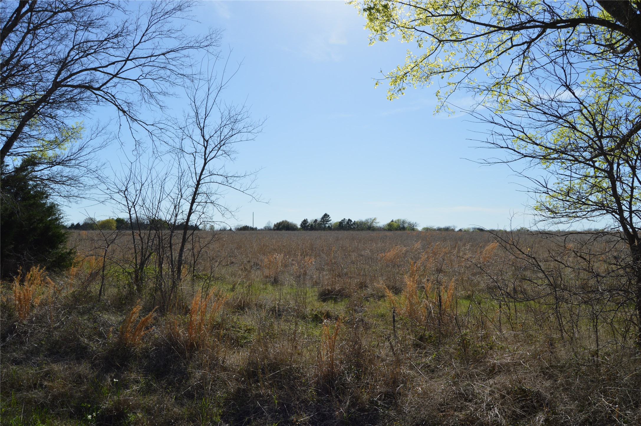 Tbd Lot 3 Rs County Road 1520 Point TX 75472