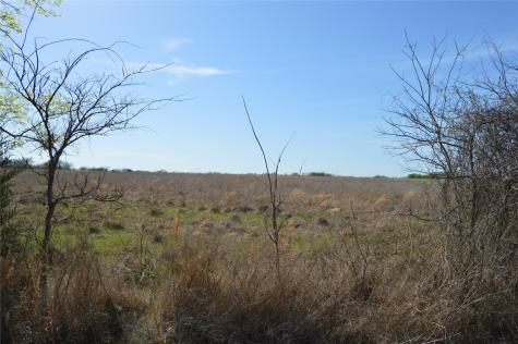 Tbd Lot 3 Rs County Road 1520 Point TX 75472