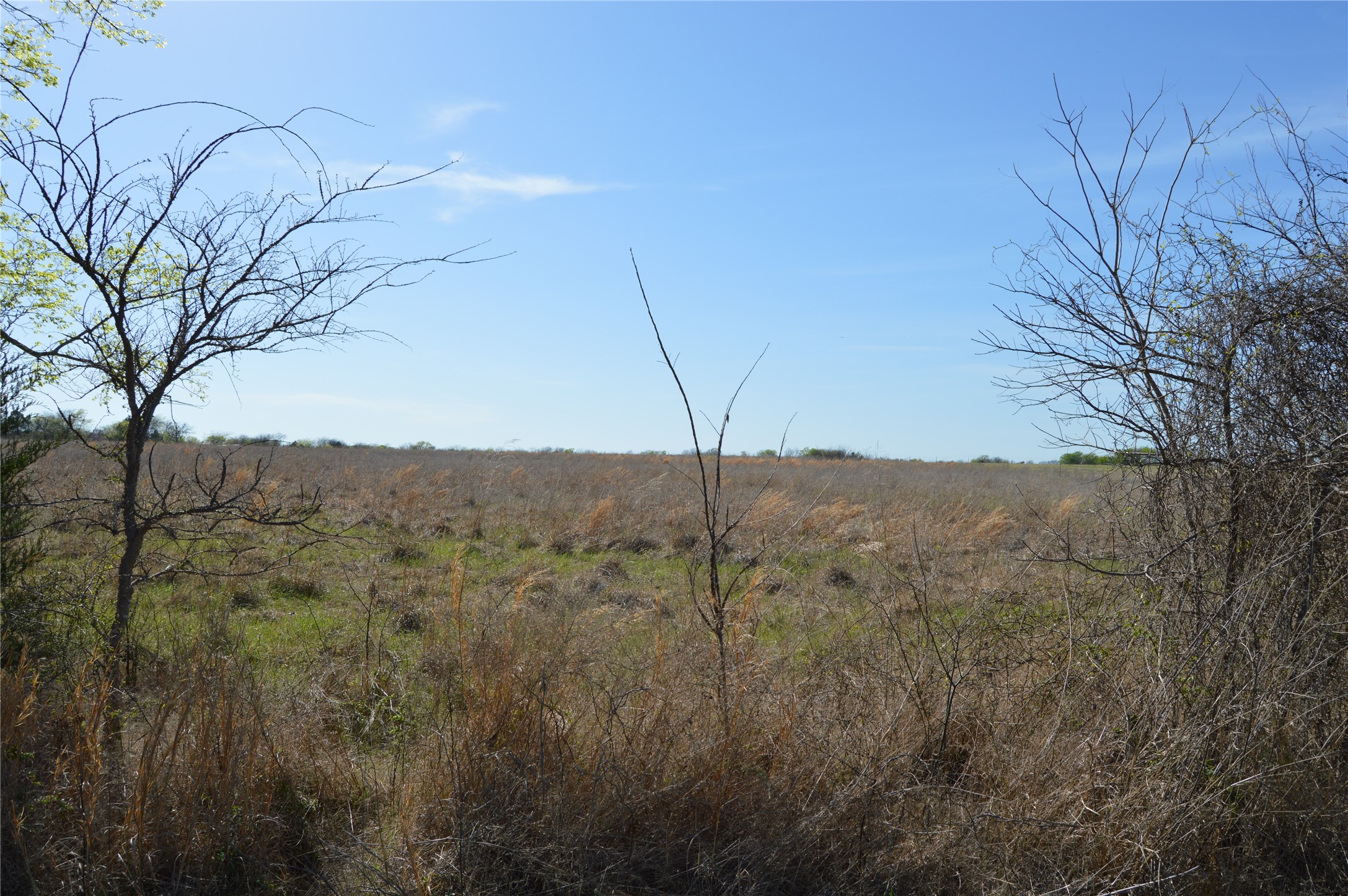 Tbd Lot 3 Rs County Road 1520 Point TX 75472