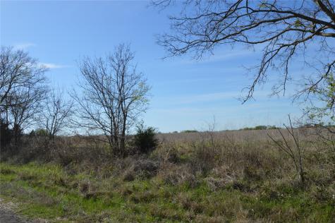 Tbd Lot 3 Rs County Road 1520 Point TX 75472