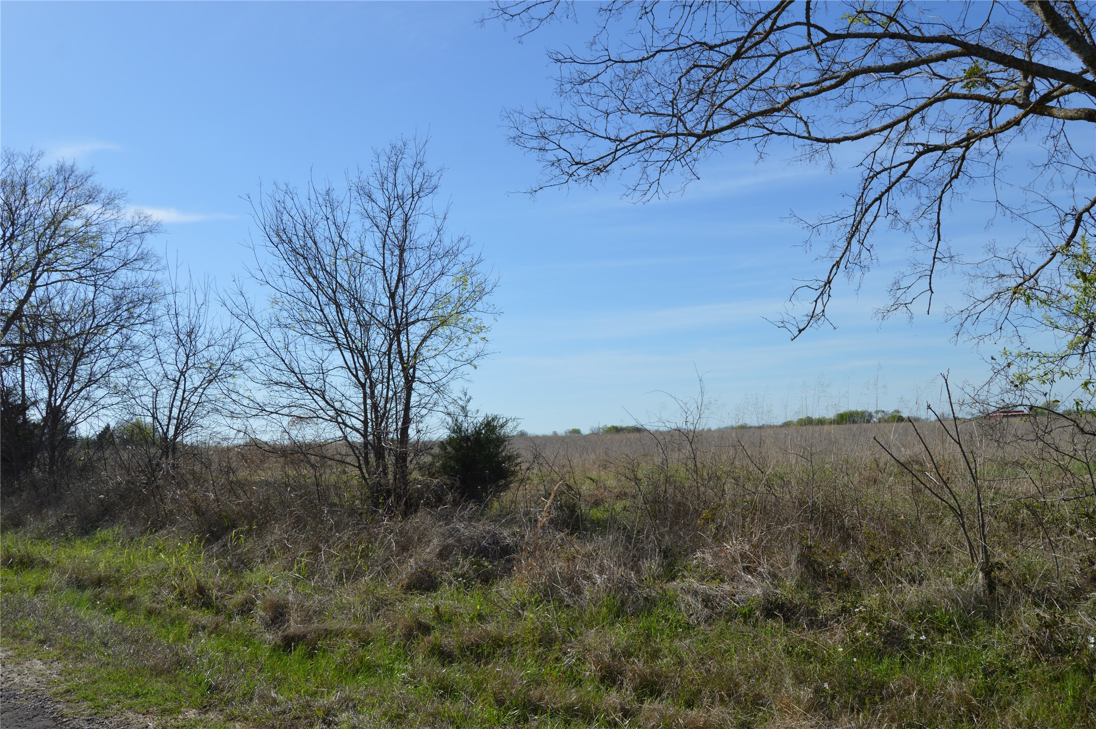 Tbd Lot 3 Rs County Road 1520 Point TX 75472