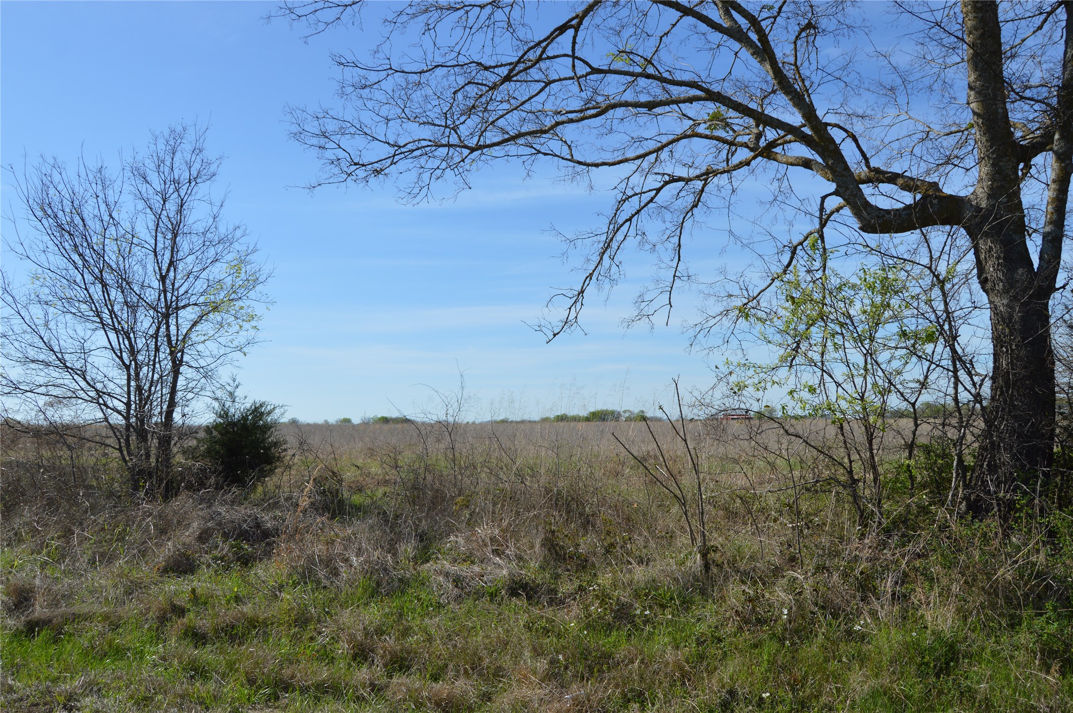 Tbd Lot 3 Rs County Road 1520 Point TX 75472