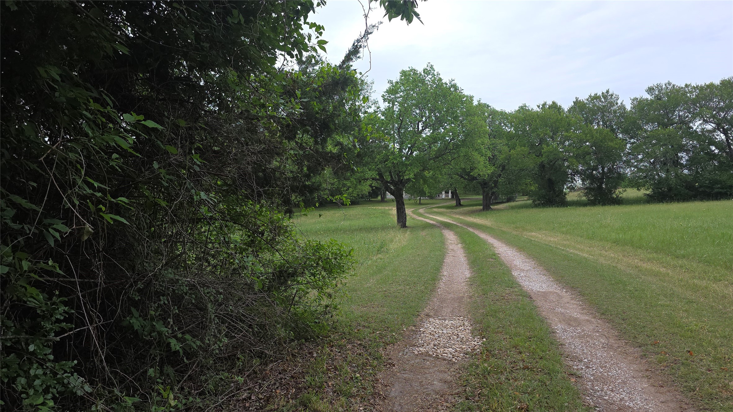 3392 Fm 896 Leonard TX 75452