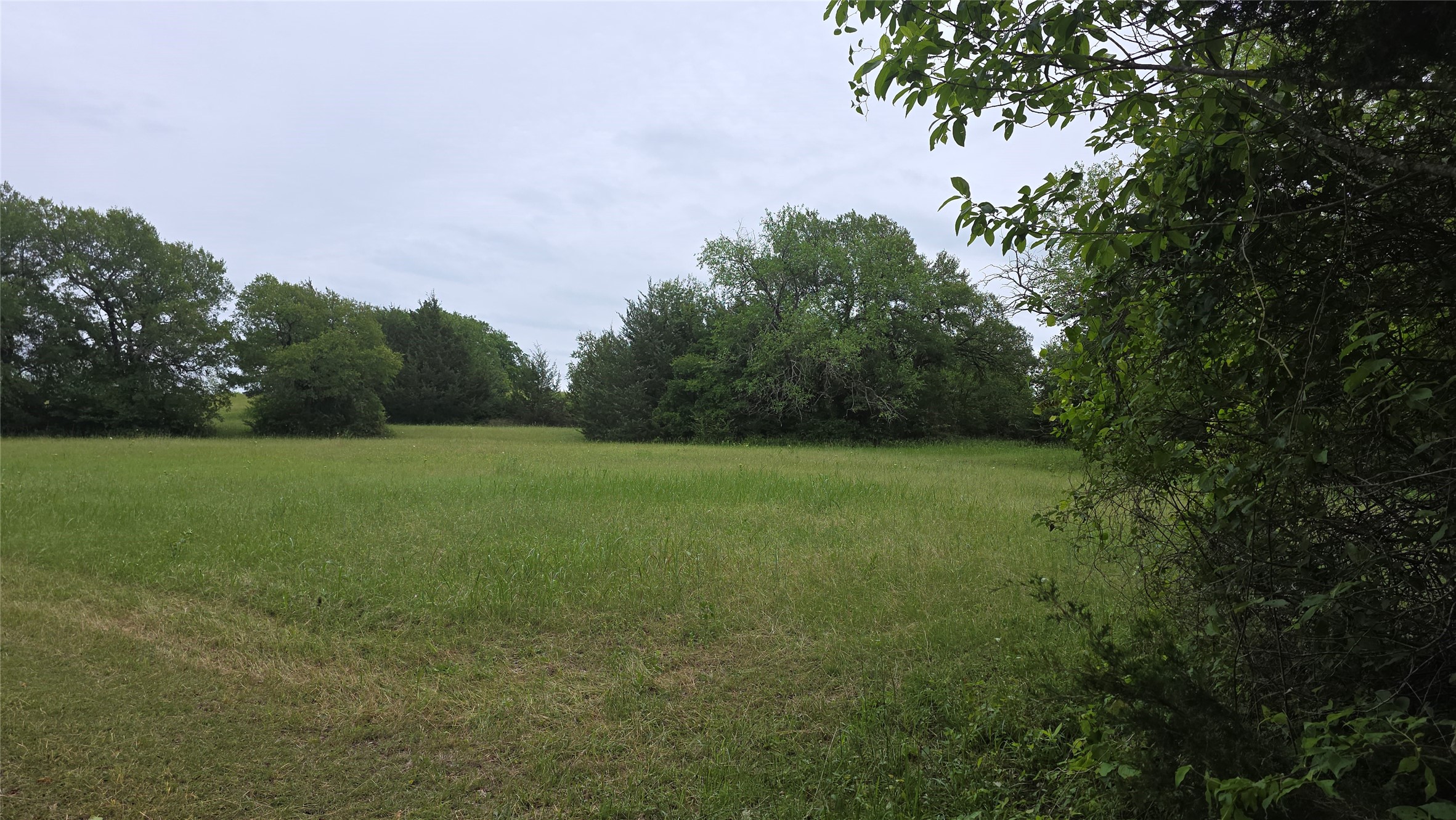 3392 Fm 896 Leonard TX 75452