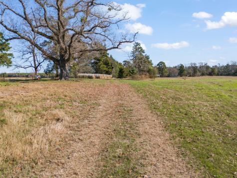 255 Cr 4645 Winnsboro TX 75494