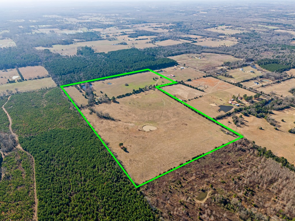 255 Cr 4645 Winnsboro TX 75494