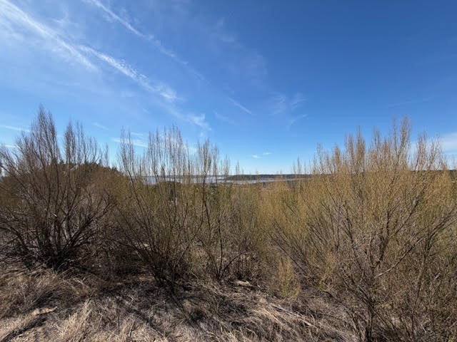 Lot 461 Wren Loop Graford TX 76449